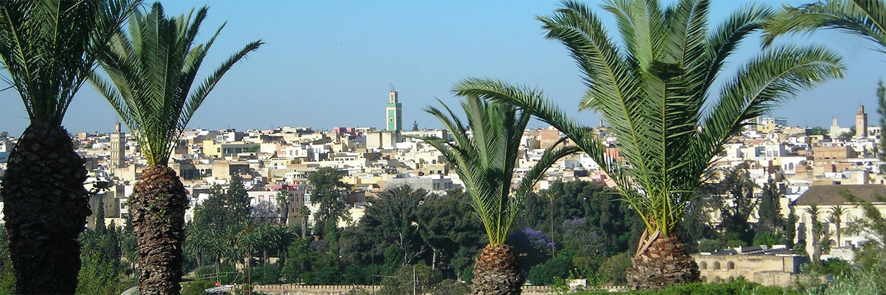 Skyline of Meknes Medina